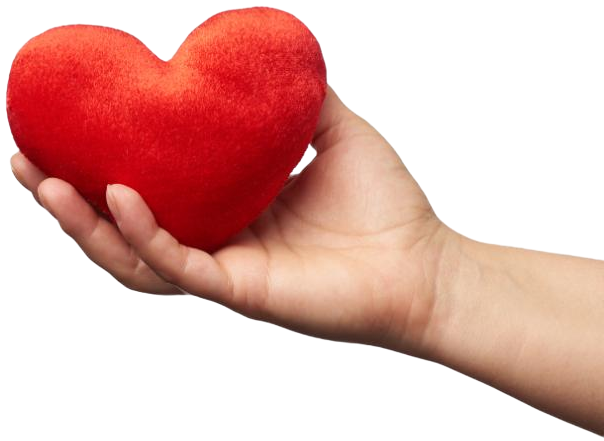 female-hand-holds-red-textile-heart-white-backgrou-3DRAPZU-1.png female-hand-holds-red-textile-heart-white-backgrou-3DRAPZU-1.png
